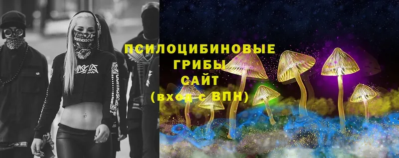 Галлюциногенные грибы MAGIC MUSHROOMS  OMG ссылка  Дербент 